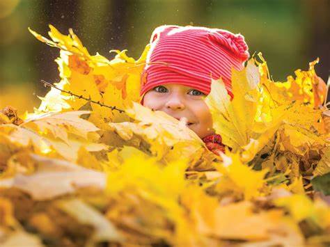 Embracing Fall: Seasonal Activities for Parents and Children